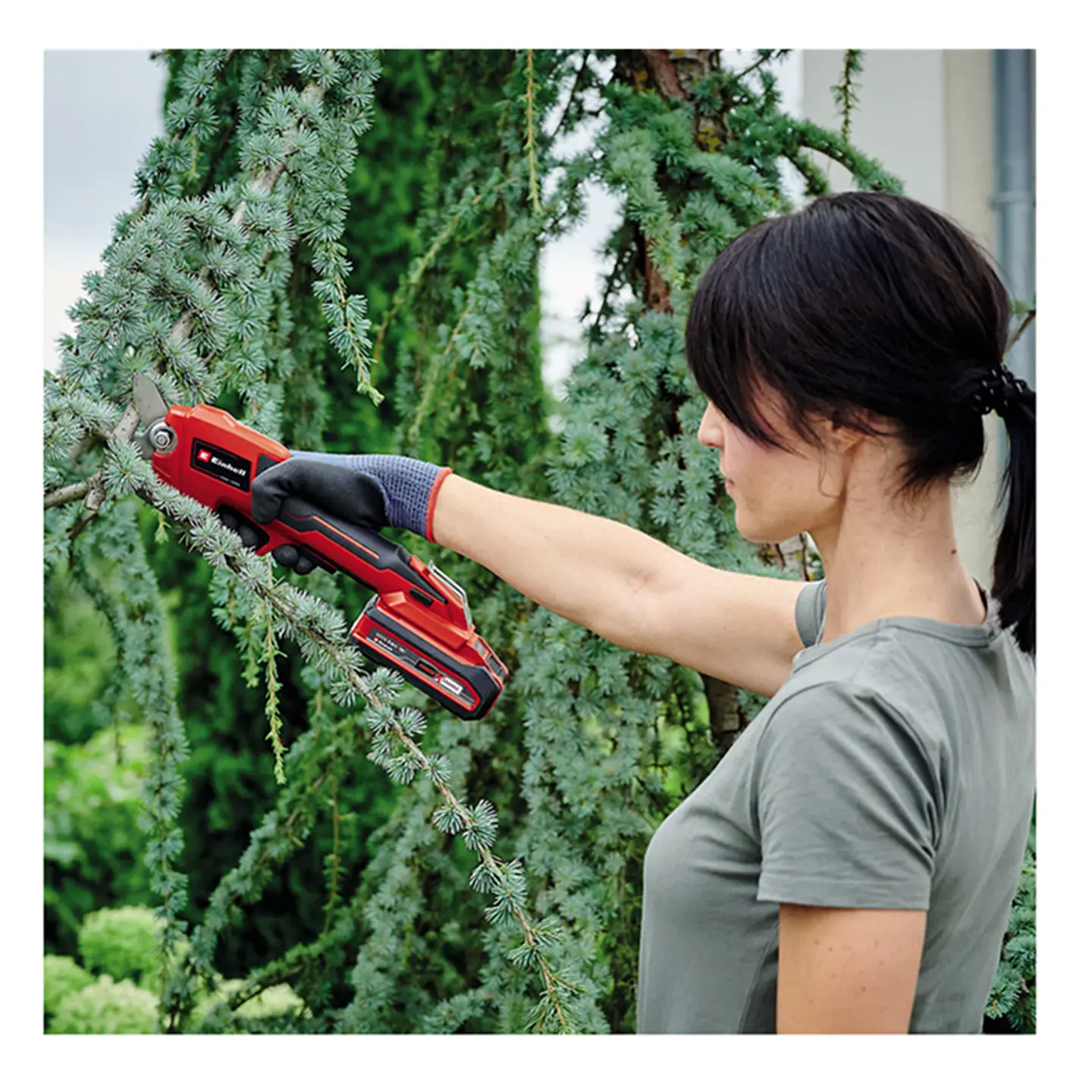 Tijera De Podar Jardin Inalámbrica 18v Bateria+ Carg Einhell 2