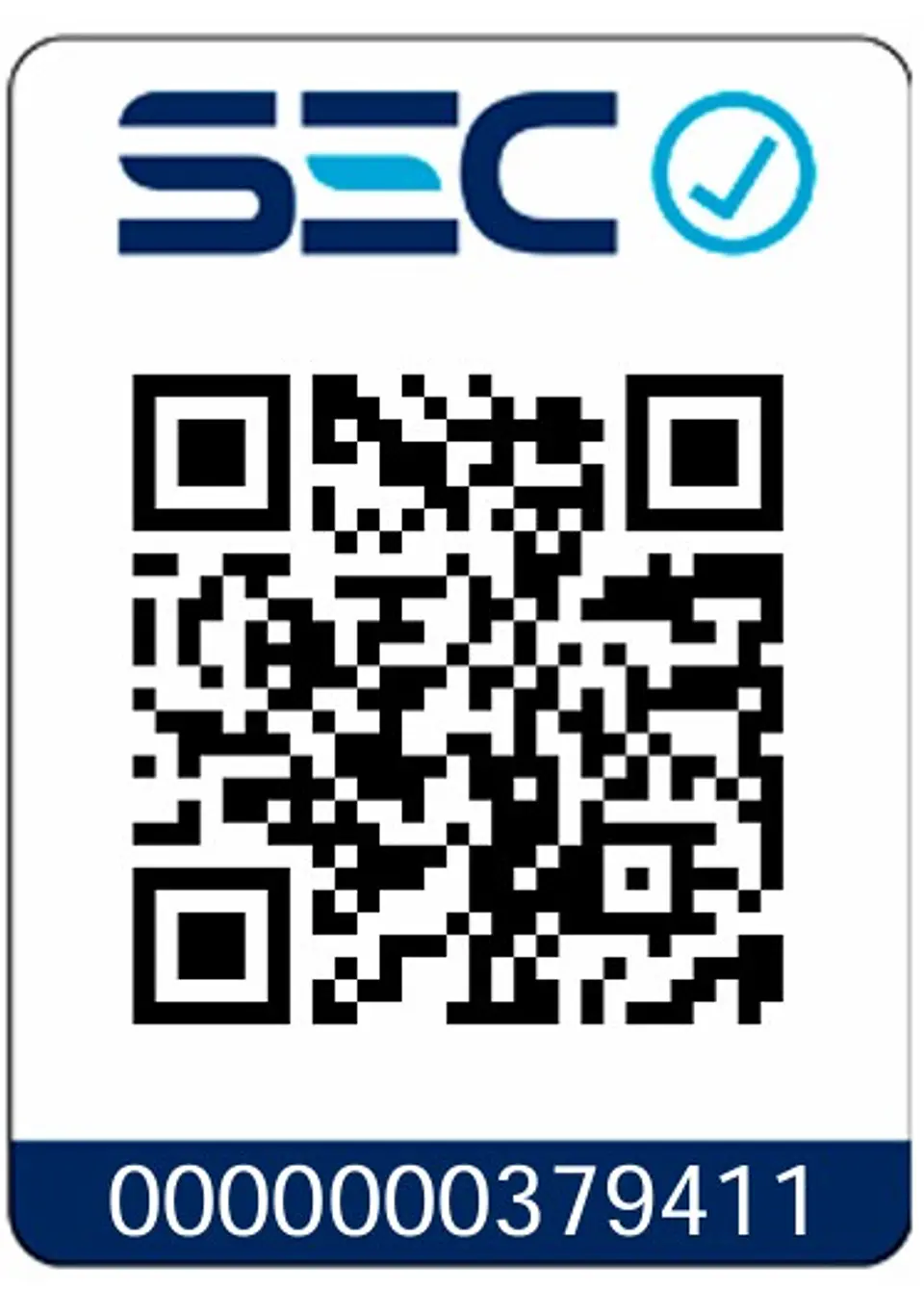 Galletera Esmeril Angular 1010w 5 (125mm) TG1121256 3