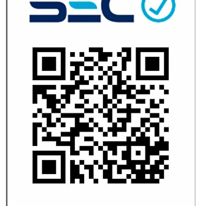 Taladro Atornillador Percutor 10mm 20v 2bat + Carg Total 2