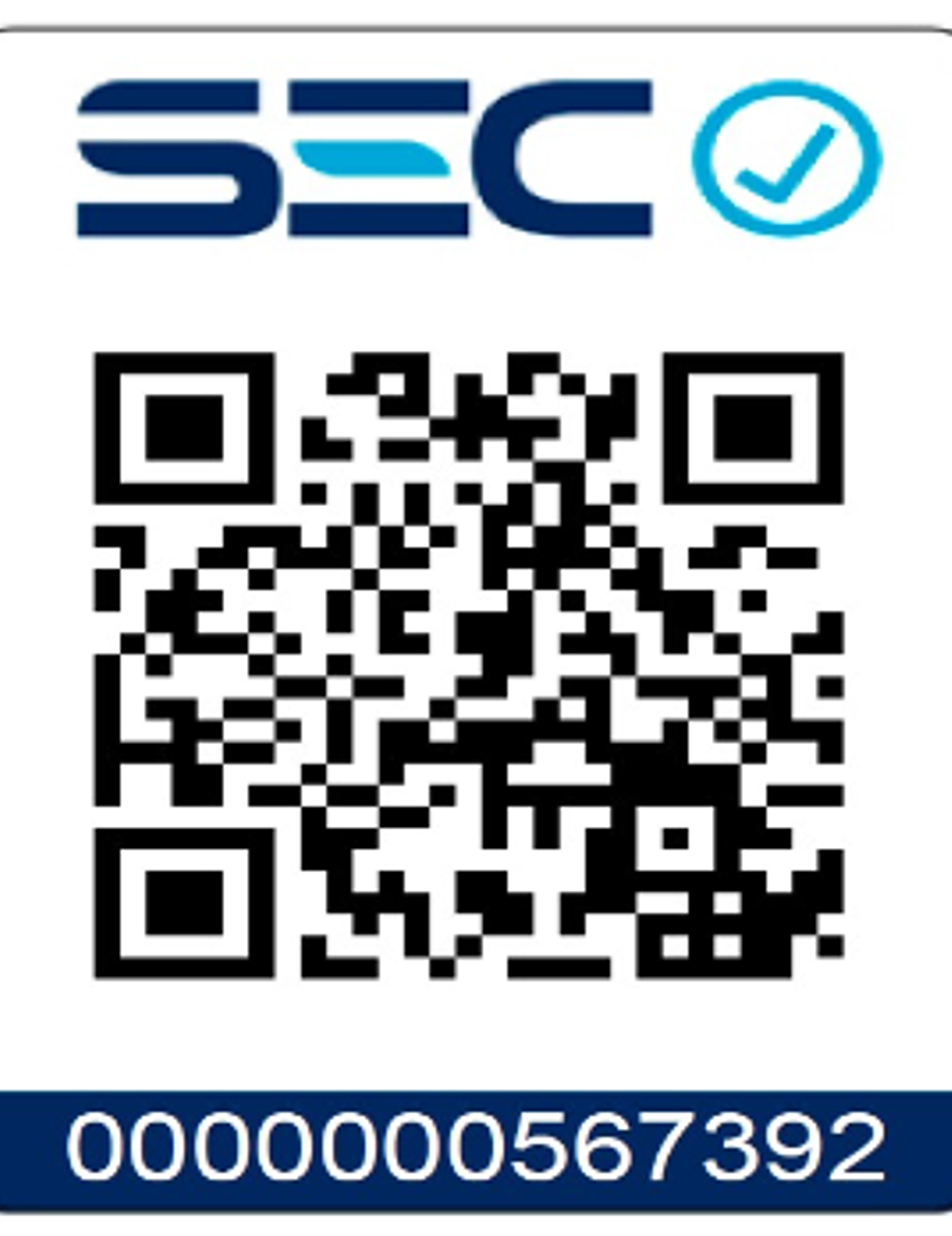 Kit Taladro + Esmeril + Rotomartillo 20v Total Tosli241198 2