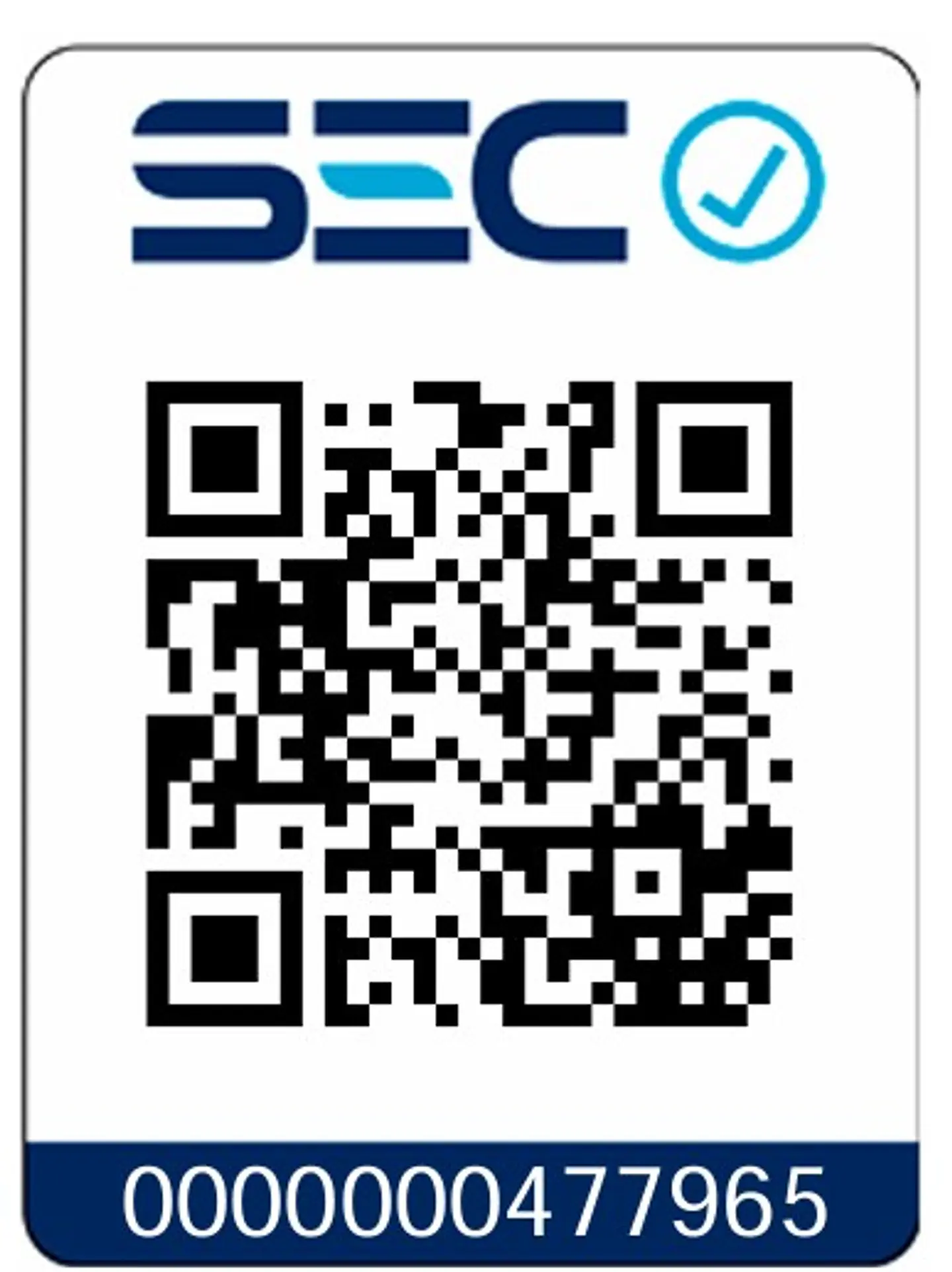 Generador Electrico Bencinero 2hp 800w Total Tp18001 2