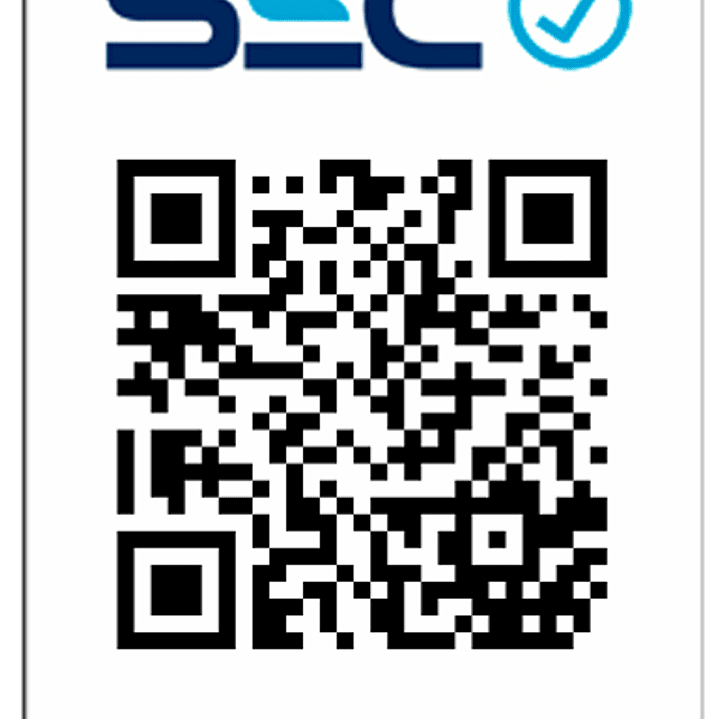 Lijadora Orbital 350w Toyaki 6