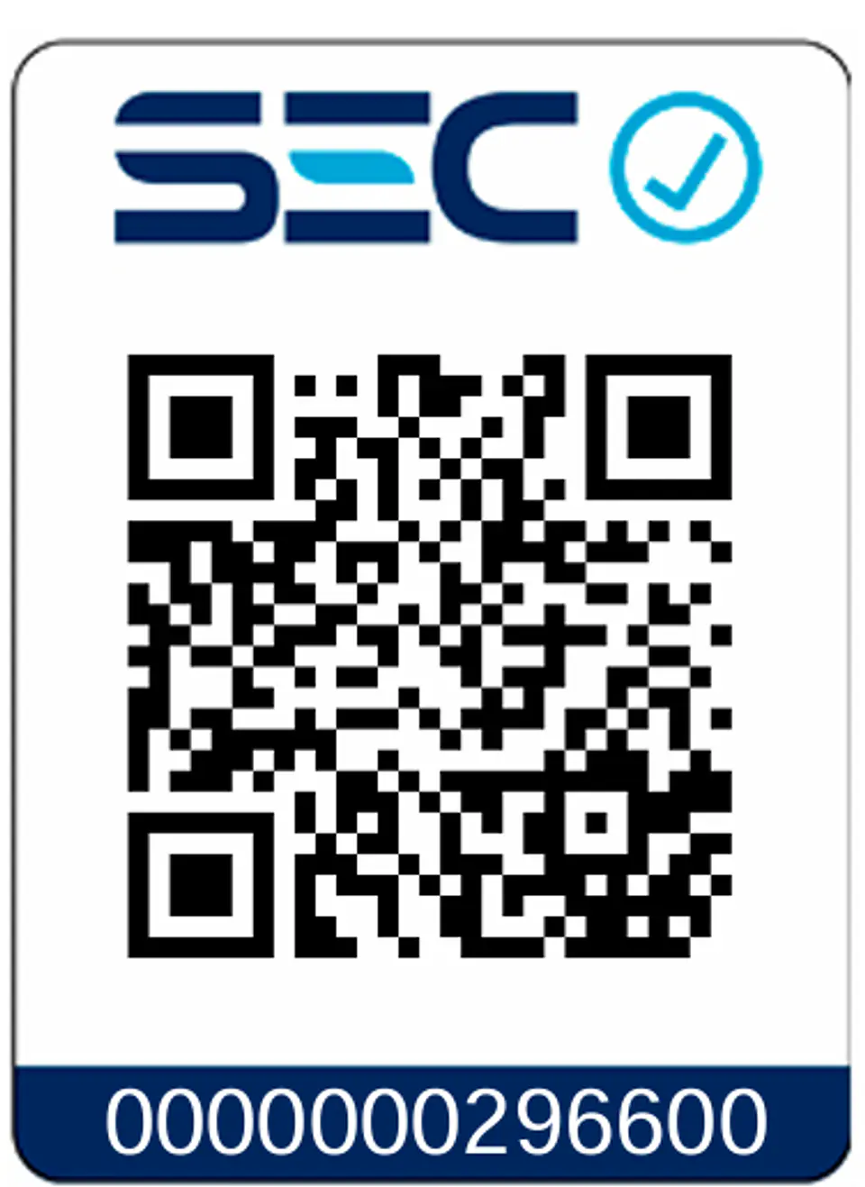 Lijadora Roto-orbital 300w Toyaki 5