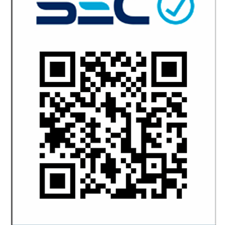 Generador Electrico Bencinero 6.5hp 2.2kw Toyaki Tk-2500s 4