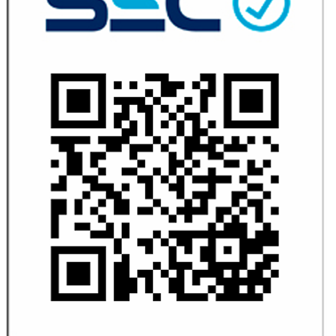 GENERADOR ELÉCTRICO BENCINERO 8.0KW TOYAKI TK1000S 2