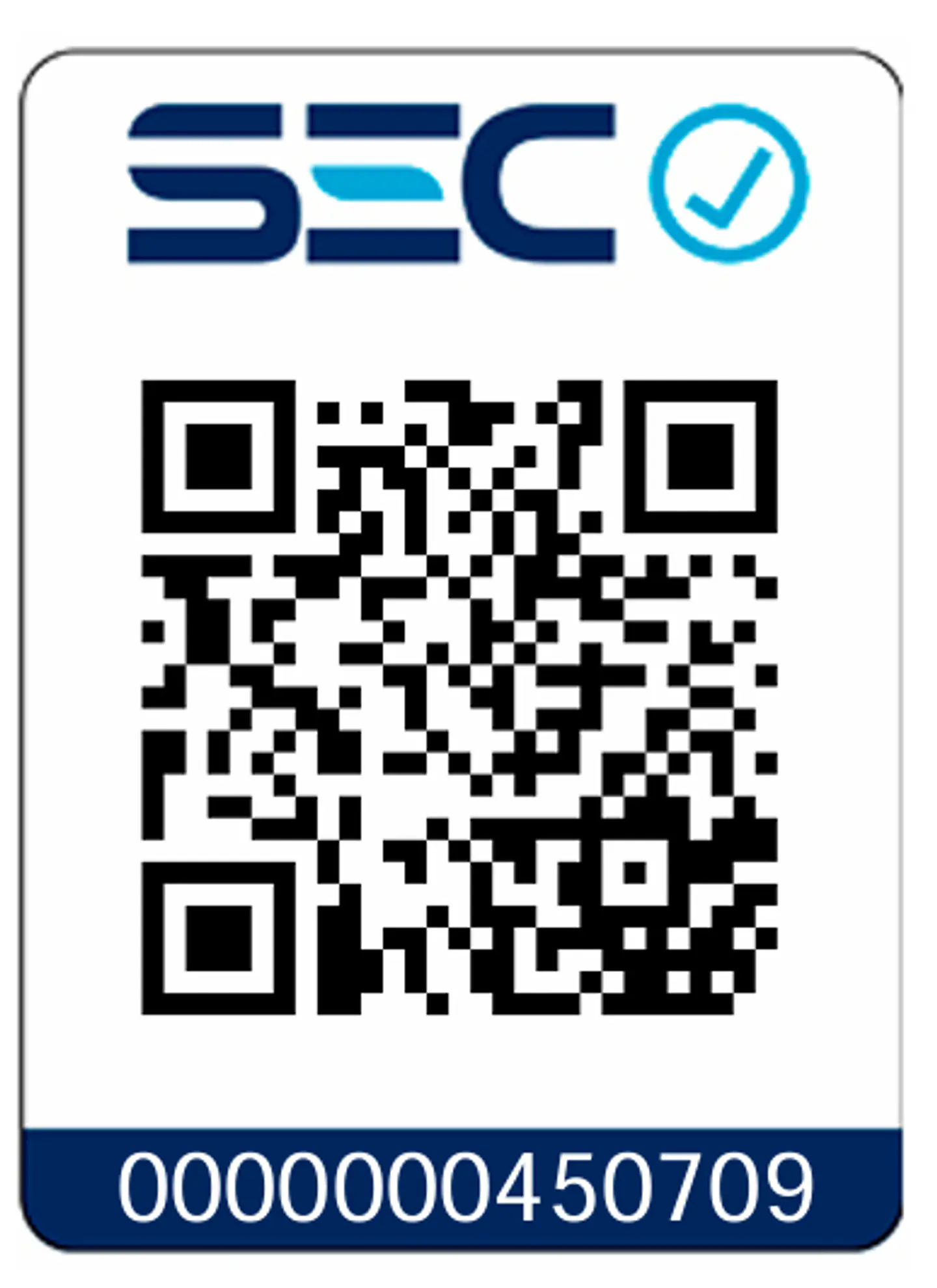 GENERADOR ELÉCTRICO BENCINERO 8.0KW TOYAKI TK1000S 2