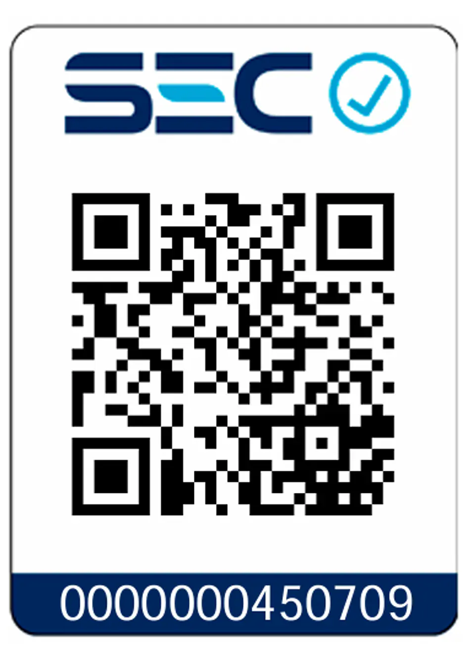 GENERADOR ELÉCTRICO BENCINERO 8.0KW TOYAKI TK1000S 2