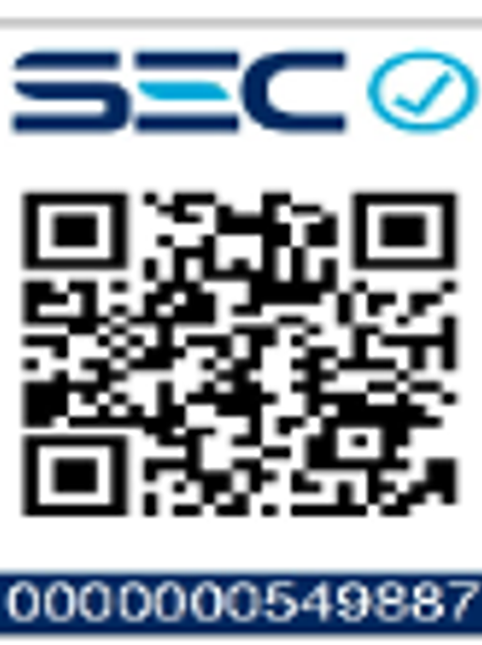 Kit Llave Impacto+ Llave Chicharra 3/8 20v 2bat+ Carg Total 2