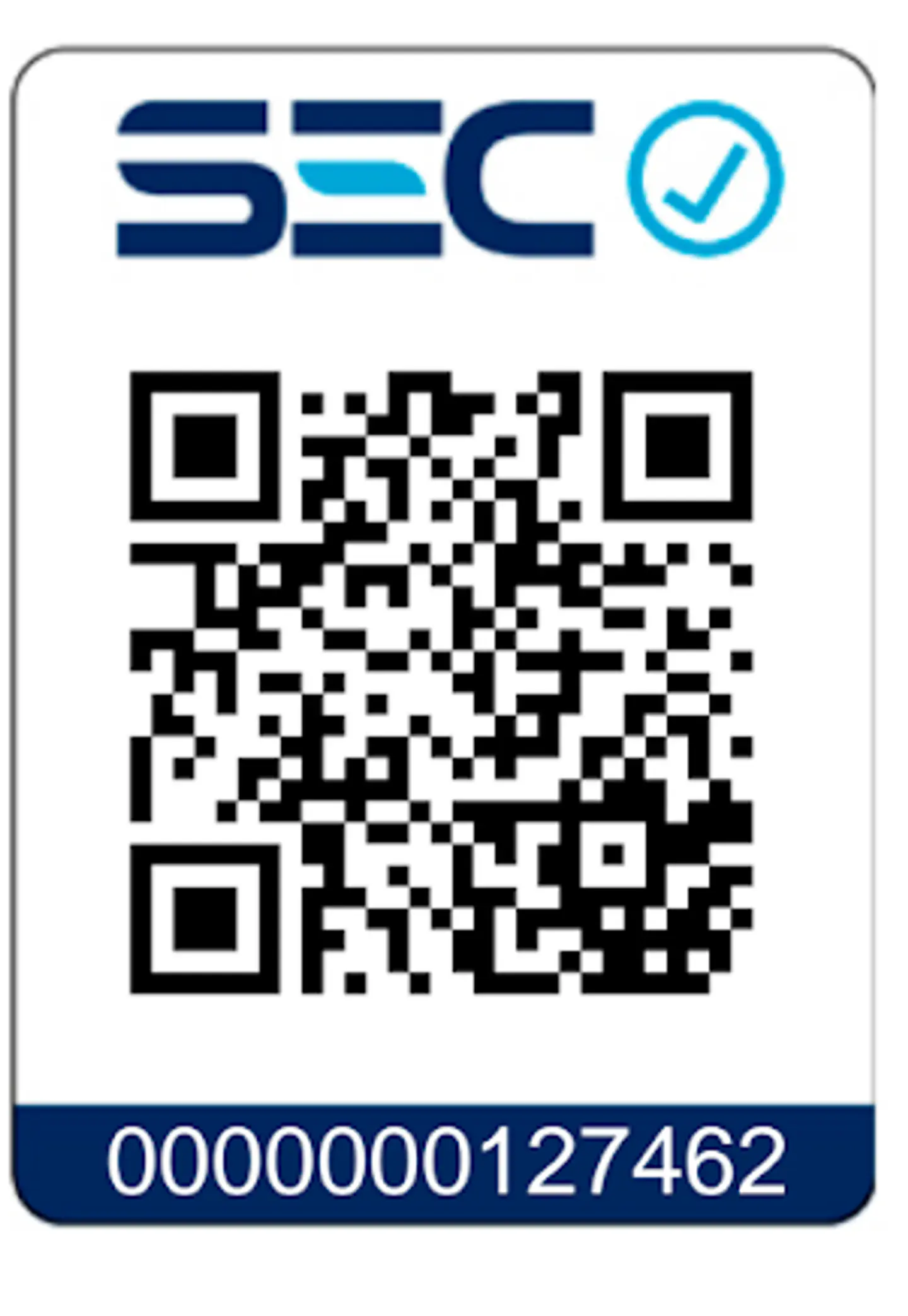 Lijadora Orbital Einhell Te-os 2520 E + Maletin Pinxel 2