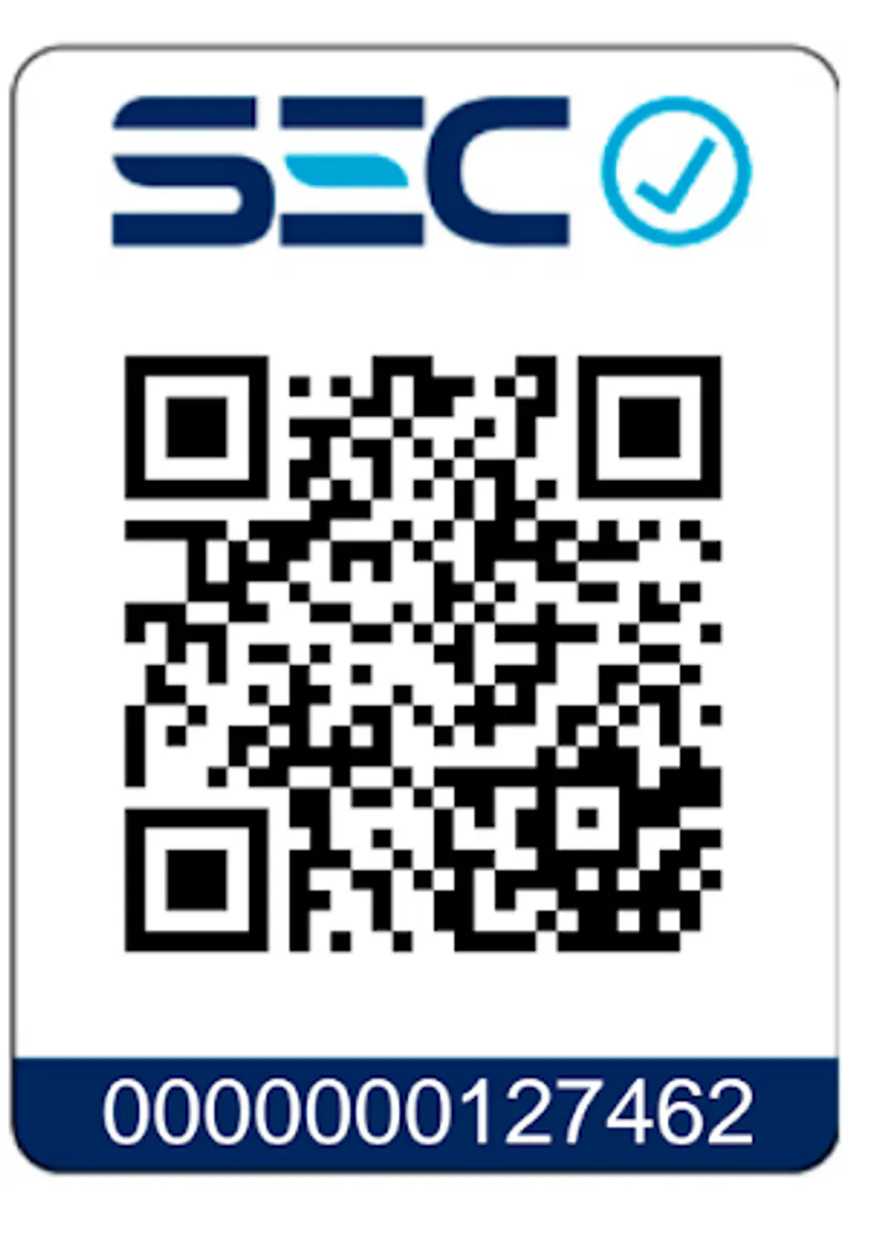 Lijadora Orbital Einhell Te-os 2520 E + Maletin Pinxel 2