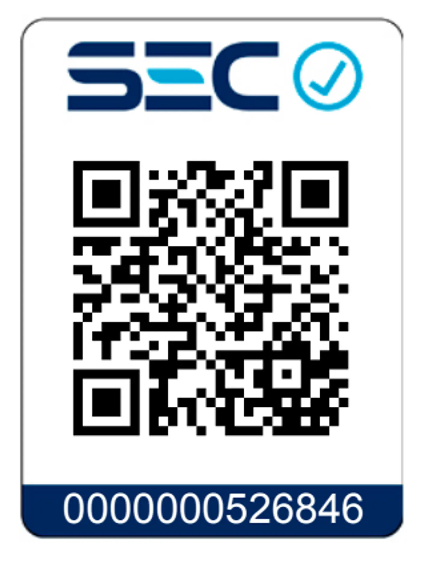 Taladro Percutor Inalámbrico 120 Nm Einhell 4514310 2