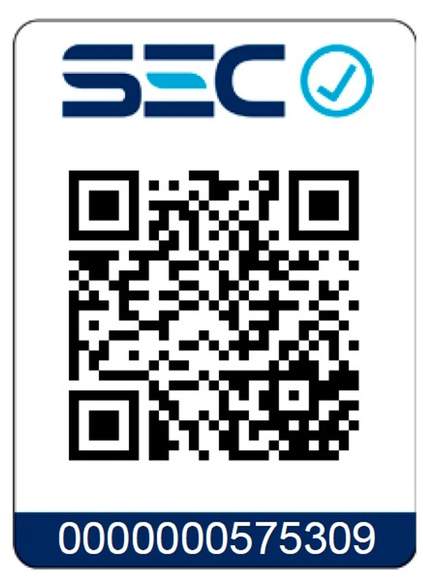 Galletera Esmeril Angular 42v 2 Bat+ Carg Total Tagli4128112 Color Turquesa 2