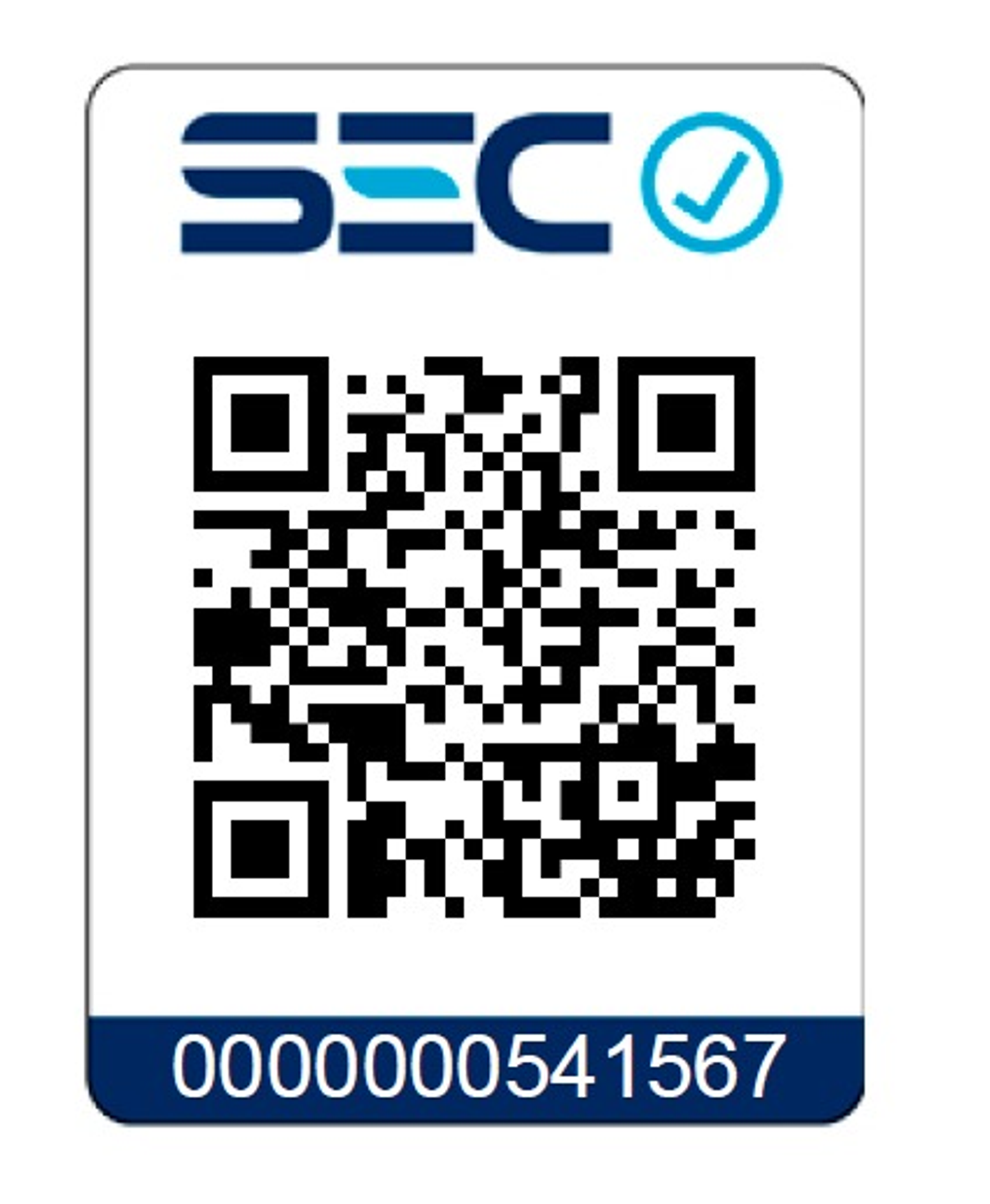 Cortaseto Podador De Altura 18v Carg+ Bat Einhell 3410972 Unico 2