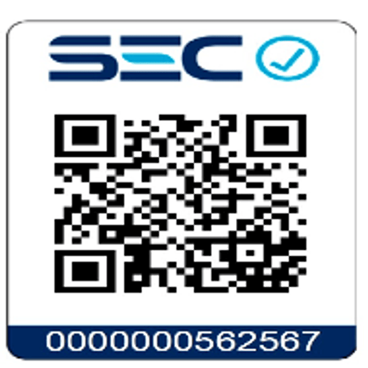 Lijadora Orbital 20v 125mm + Batería + Cargador Total  2