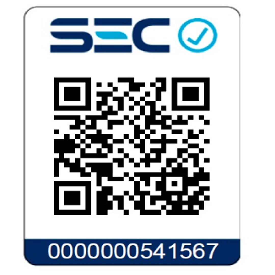 Cortaseto Y Podador De Altura 18v Batería + Cargador Einhell 2