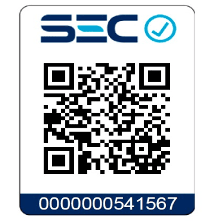 Cortaseto Y Podador De Altura 18v Batería + Cargador Einhell 2