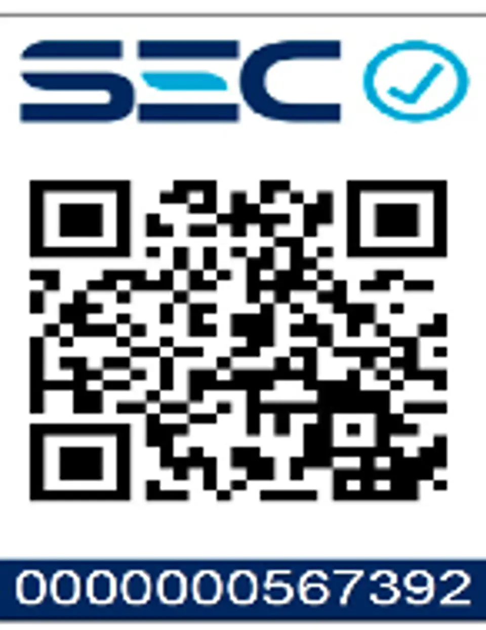 Kit Taladro Percutor 20v 66nm+ Herramientas 166 Piezas Total  2