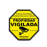 Cartel Disuasivo Para Camaras De Seguridad Vigilada