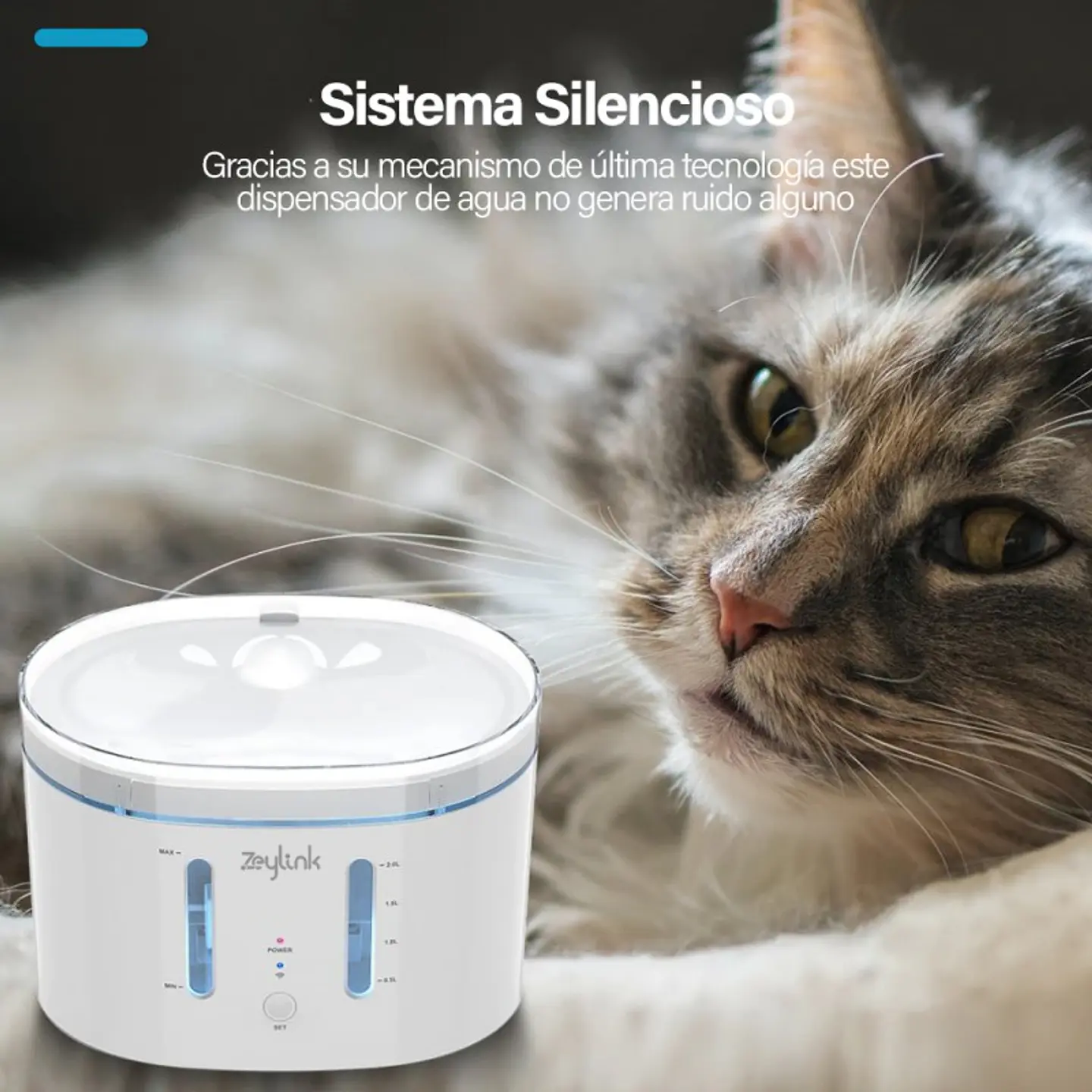 Dispensador De Agua Para Perros, Gatos, Mascotas Wifi 4