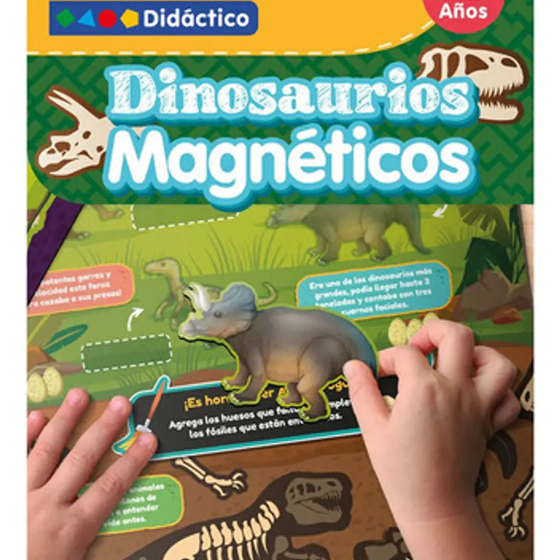 Lámina Dinosaurios Magnéticos Didáctico Adetec 1