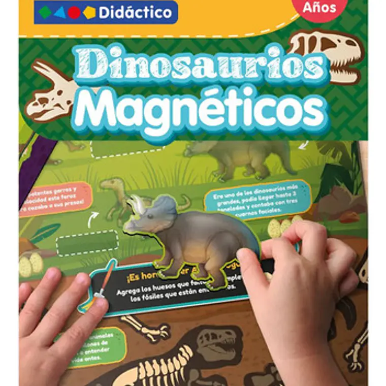Lámina Dinosaurios Magnéticos Didáctico Adetec 1