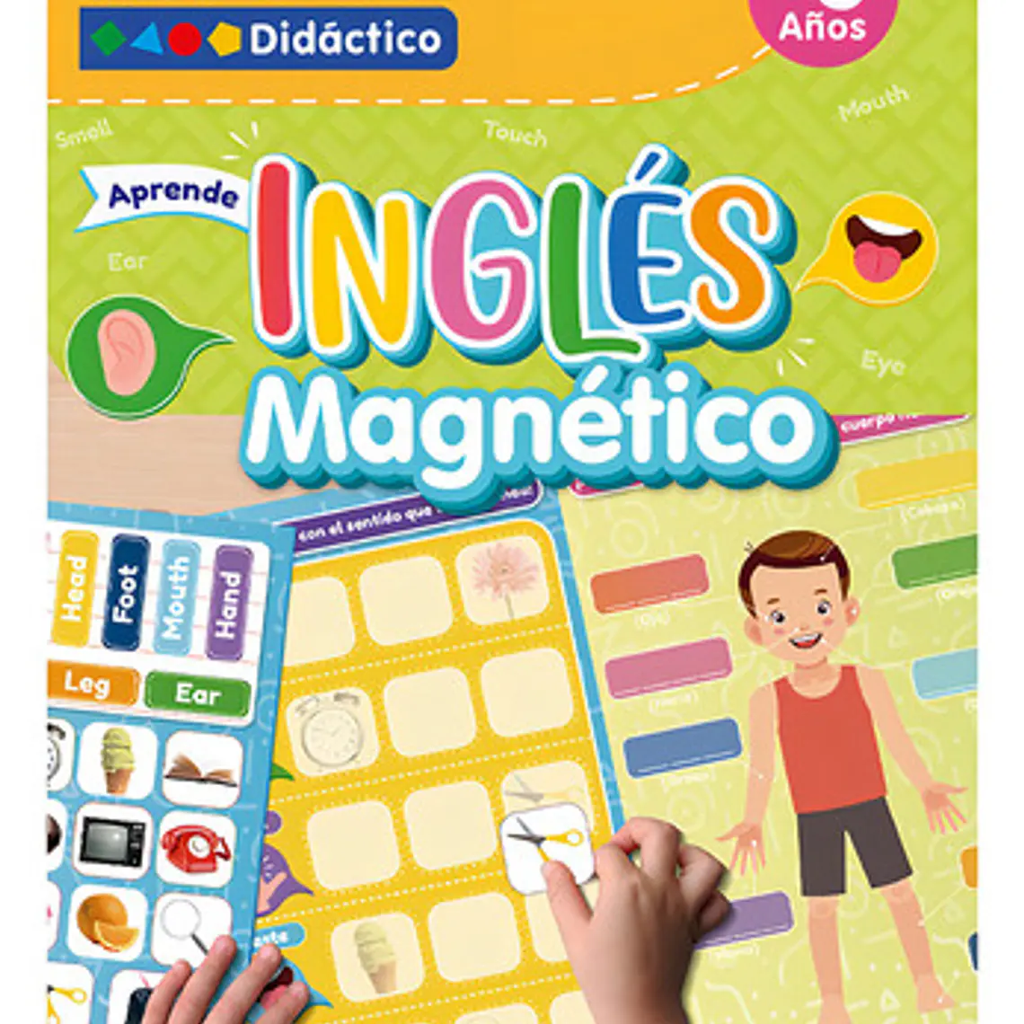 Lámina Magnética Interactiva Para Aprendizaje De Inglés 1