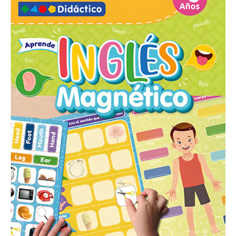 Lámina Magnética Interactiva Para Aprendizaje De Inglés 1
