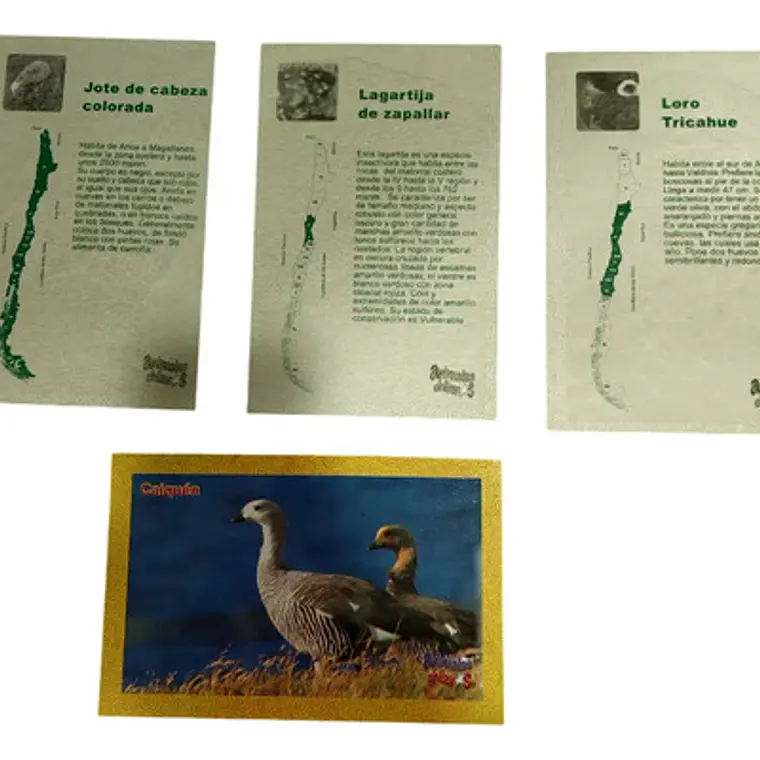 Naipes De Animales Chilenos - Juego De Cartas Guau 2