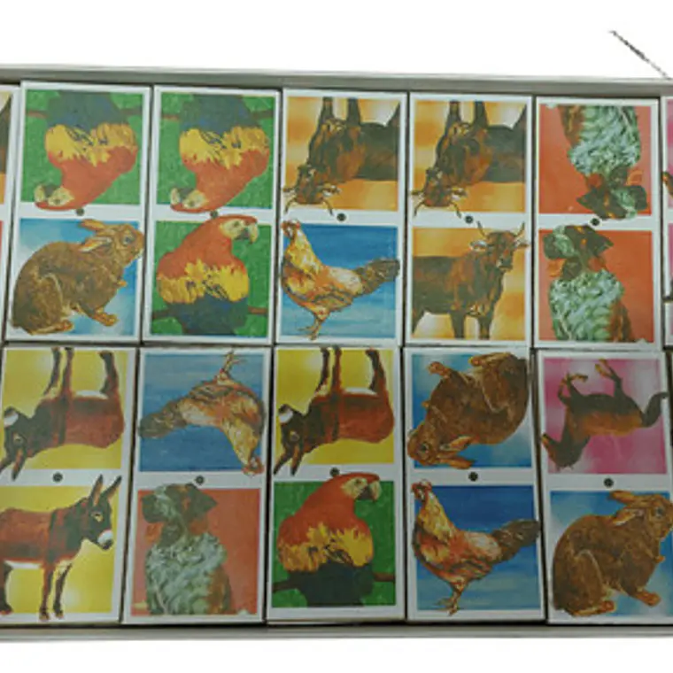 Dominó Pardo Animales Domésticos - Juego De Mesa 4