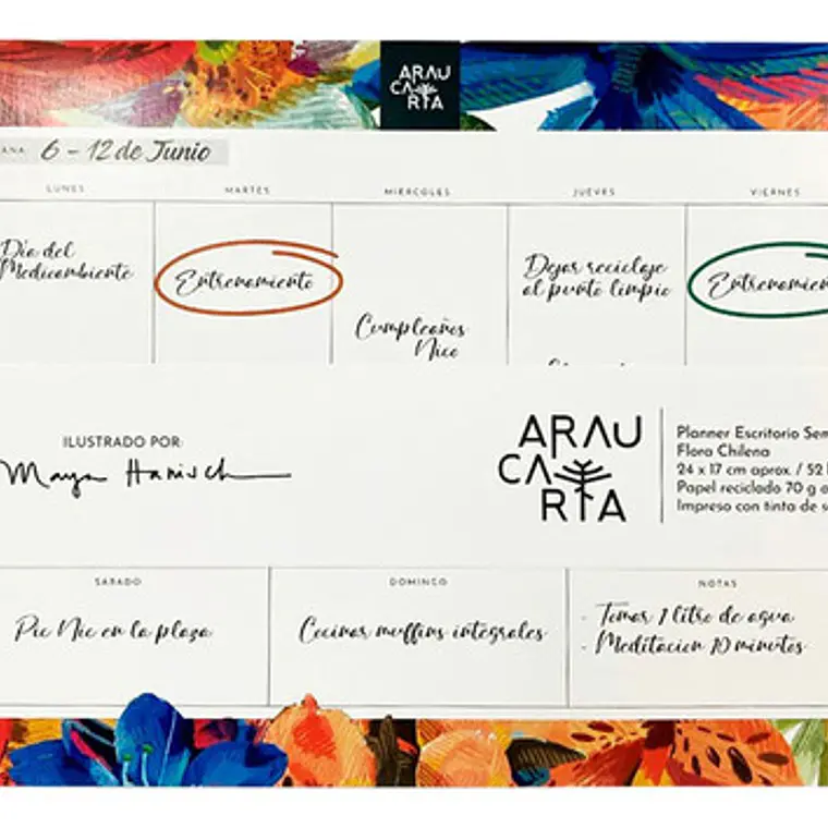 Planner Semanal Papel Reciclado 52 Hojas Araucaria Artel 1