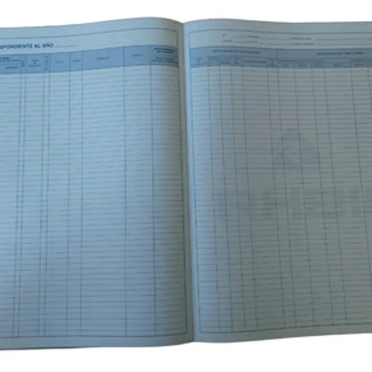 Libro Registro Escolar Rhein 4