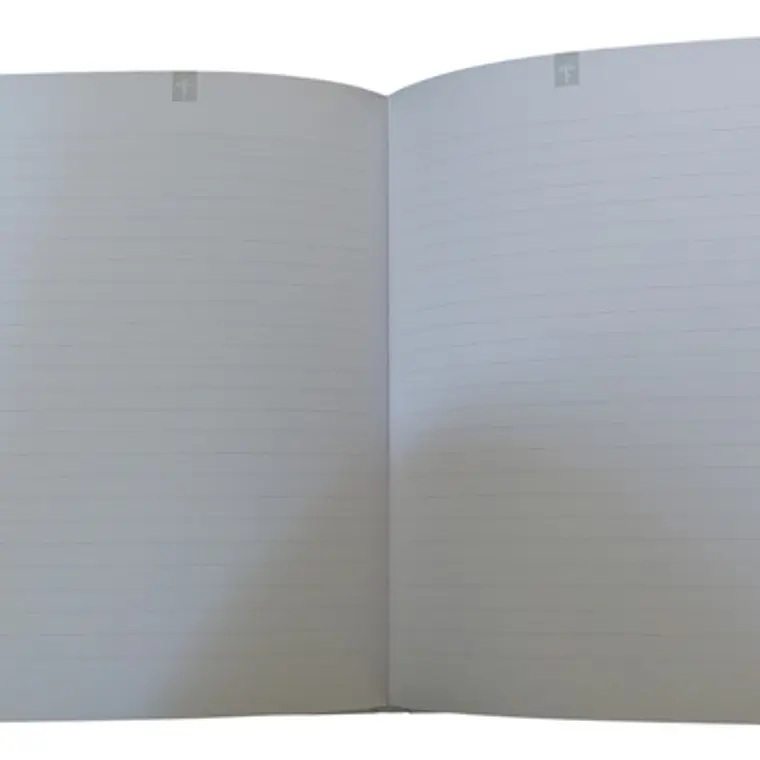 Libreta Artel Alerce Araucania 80 Hojas Líneas 21x14.8 Cm 3