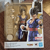 Ultimate Gohan S.H.Figuarts