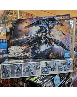 HG 1/144 GUNDAM VIDAR