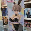 HANA UZAKI BICUTE BUNNIES