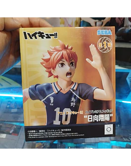 SHOYO HINATA