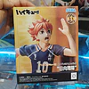 SHOYO HINATA