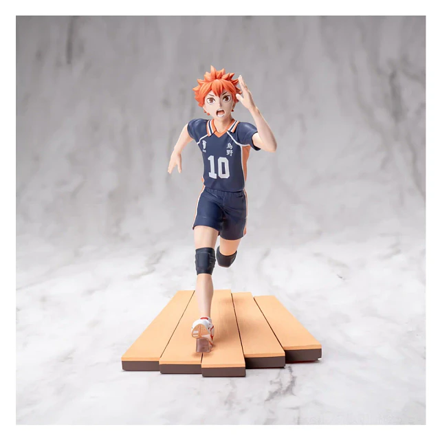 SHOYO HINATA
