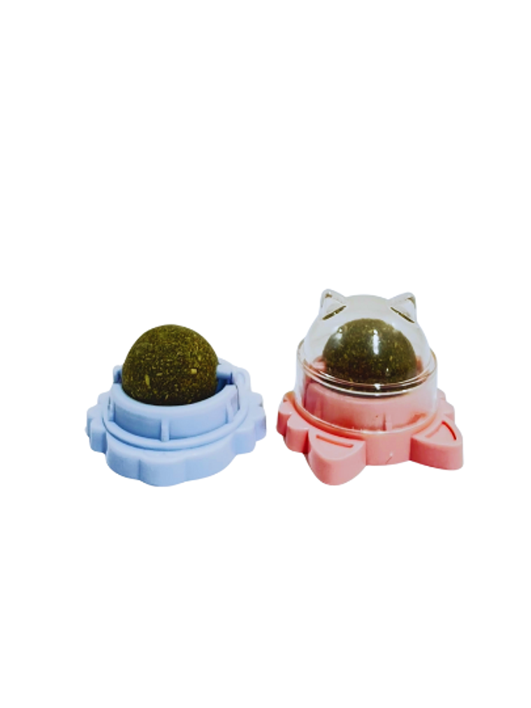 catnip bolita  1