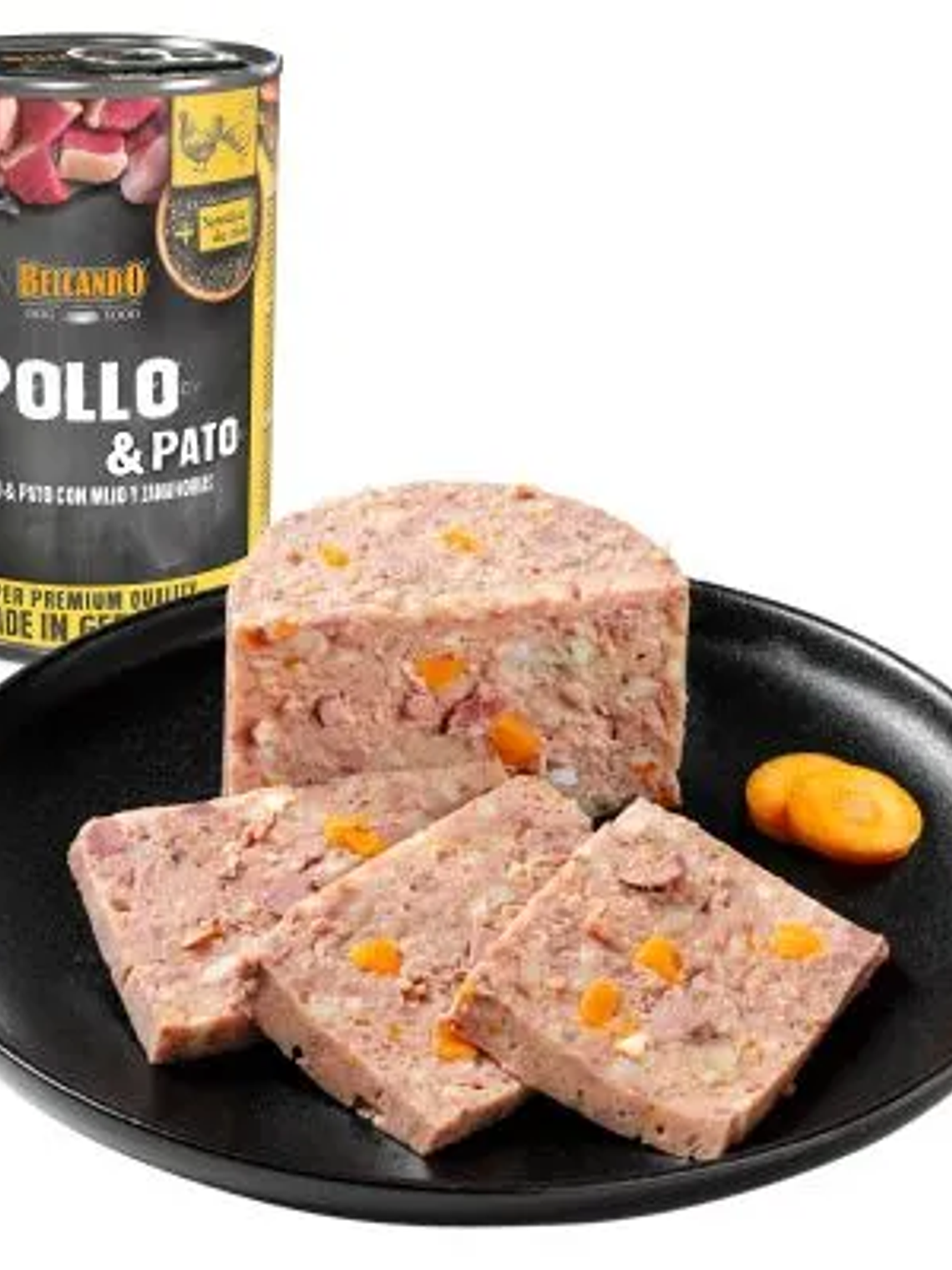 POLLO CON PATO, MIJO Y ZANAHORIA 1