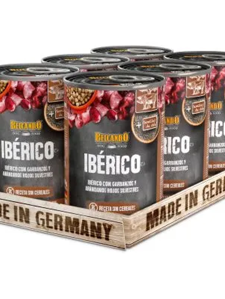 IBÉRICO CON GARBANZOS Y ARÁNDANOS 2