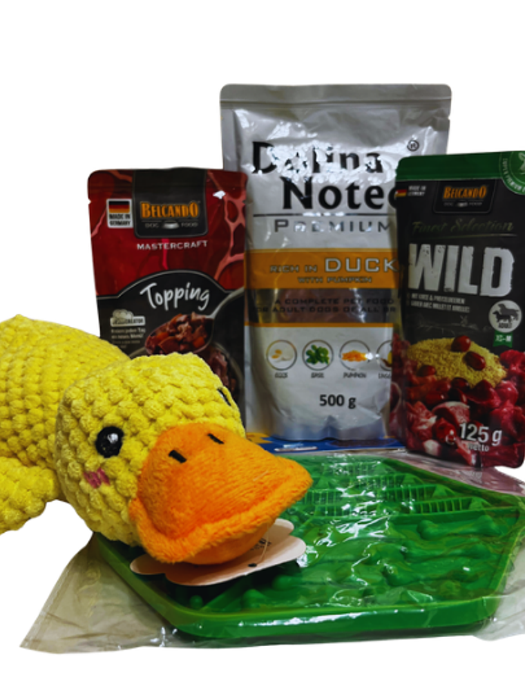 Pato Claus Festivo 2