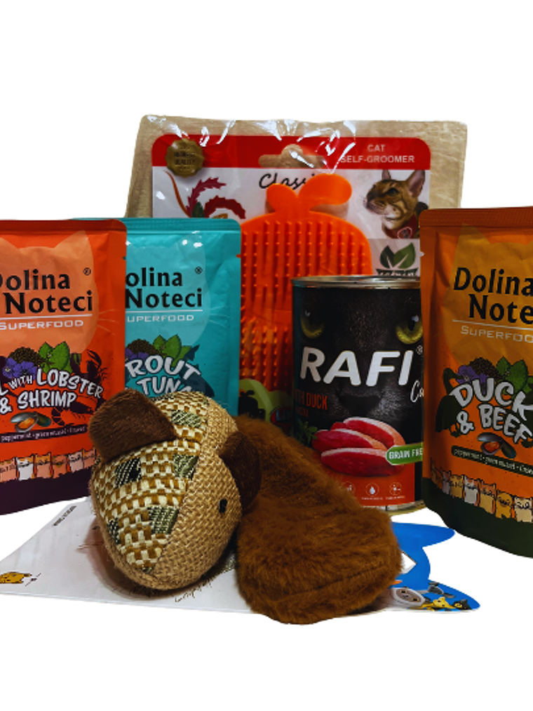 Felipe box navideño  1