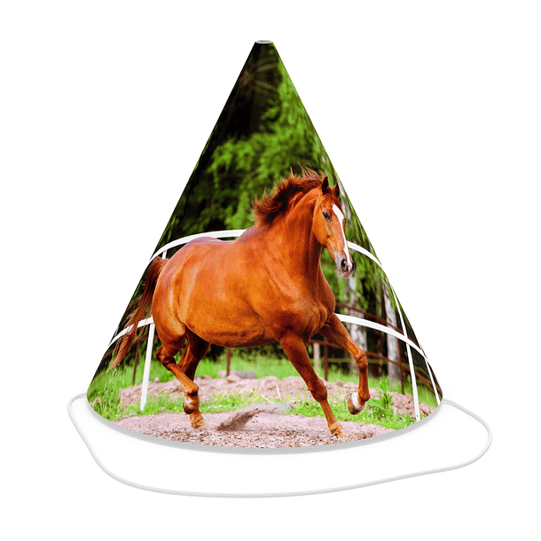 Chapéu Cavalo 1