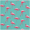 PACK Tema Flamingo