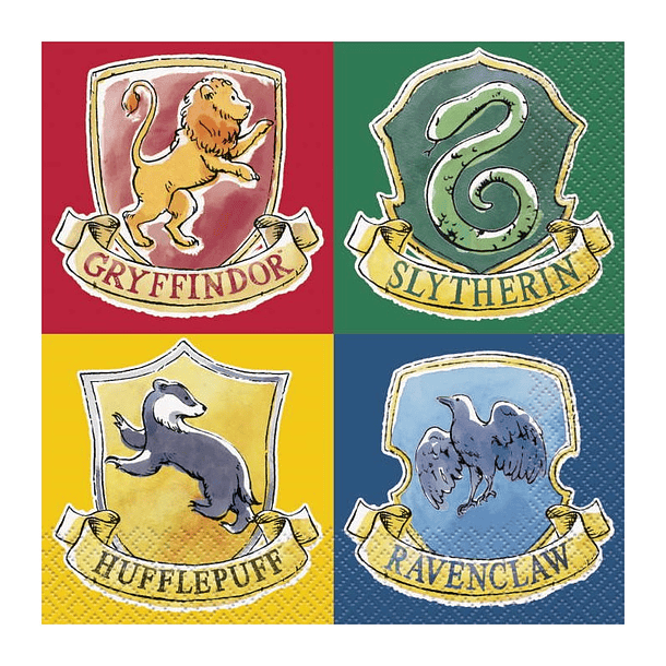 Pack Tema Aniversário Harry Potter  4