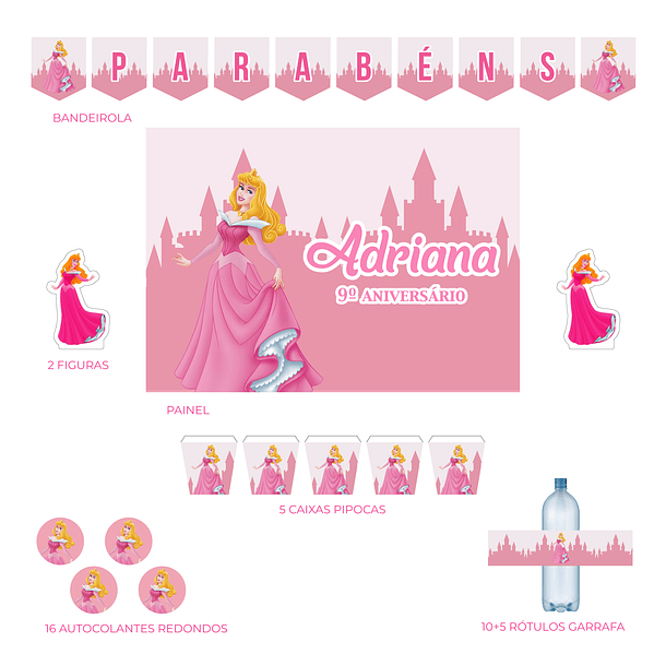 Kit Decoração Princesa Aurora (Várias_Opções)  3