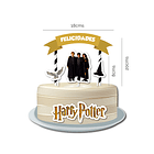 Pack Festa Aniversário Harry Potter 7