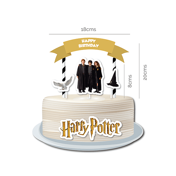 Pack Festa Aniversário Harry Potter 9