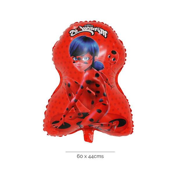 Birthday Party Pack Ladybug 5